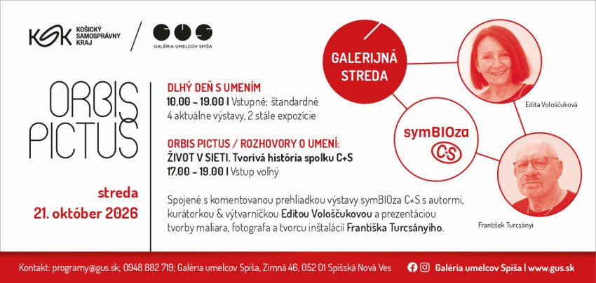 Orbis Pictus / Rozhovory o umení: Život v sieti